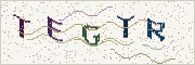 Güvenlik kodu
